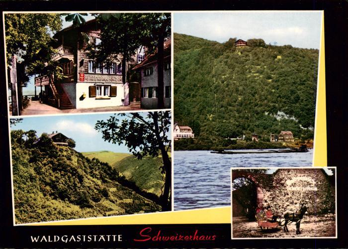Assmannshausen Rhein Waldgaststaette Schweizerhaus Panorama Schlittenfahrt