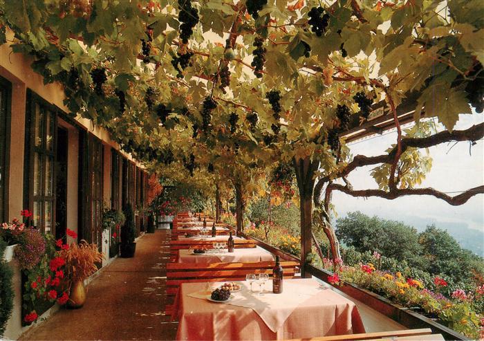 Ruedesheim am Rhein Rebenhaus Cafe Restaurant Terrasse