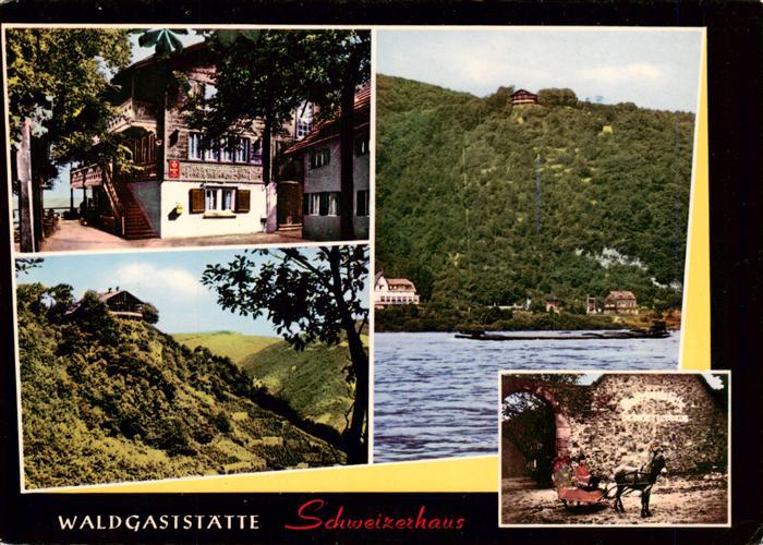 Assmannshausen Rhein Waldgaststaette Schweizerhaus Panorama Schlitten
