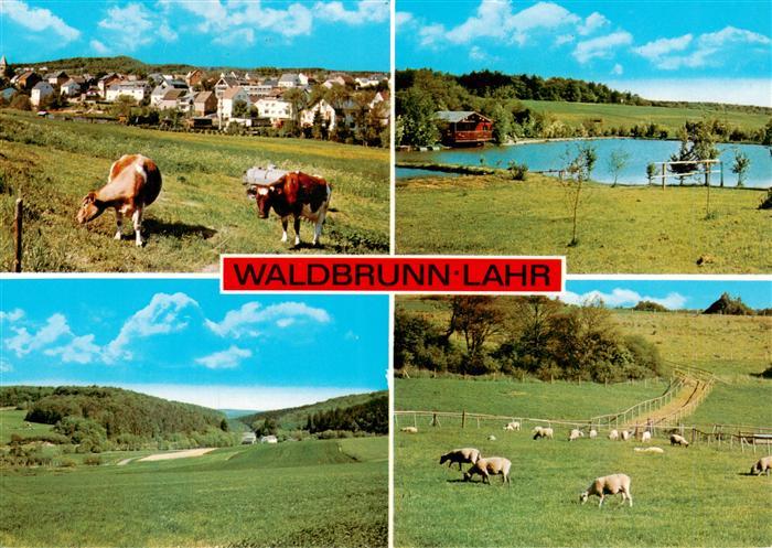 Waldbrunn Westerwald Ortsansicht Panorama Seepartie