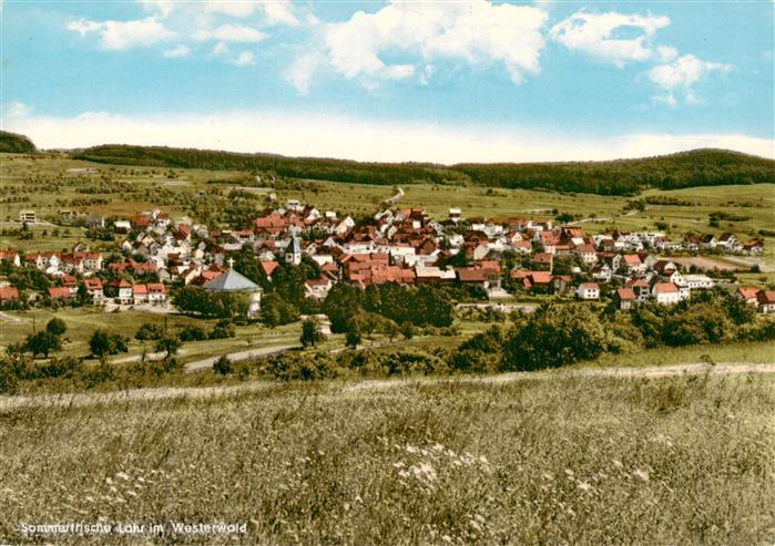 Lahr Westerwald Waldbrunn Panorama
