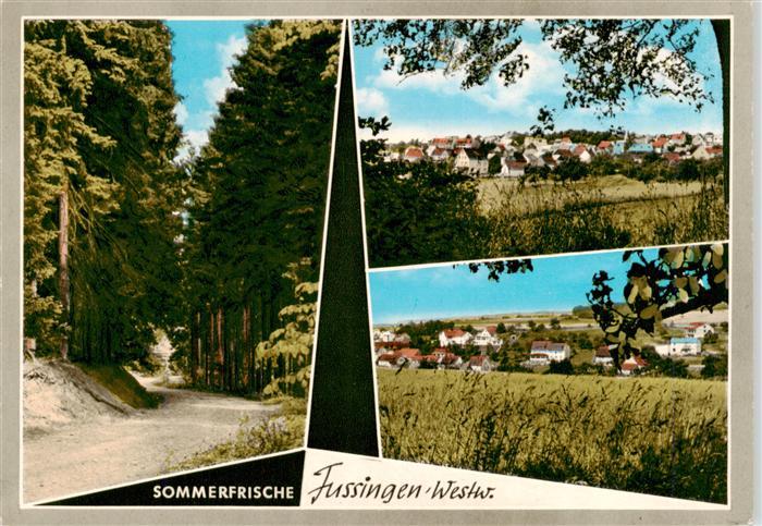 Fussingen Waldbrunn Westerwald Waldweg Panorama