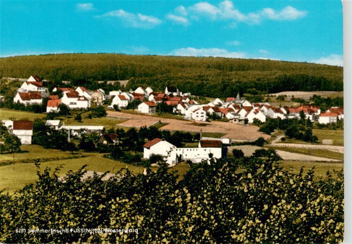 Fussingen Waldbrunn Westerwald Panorama