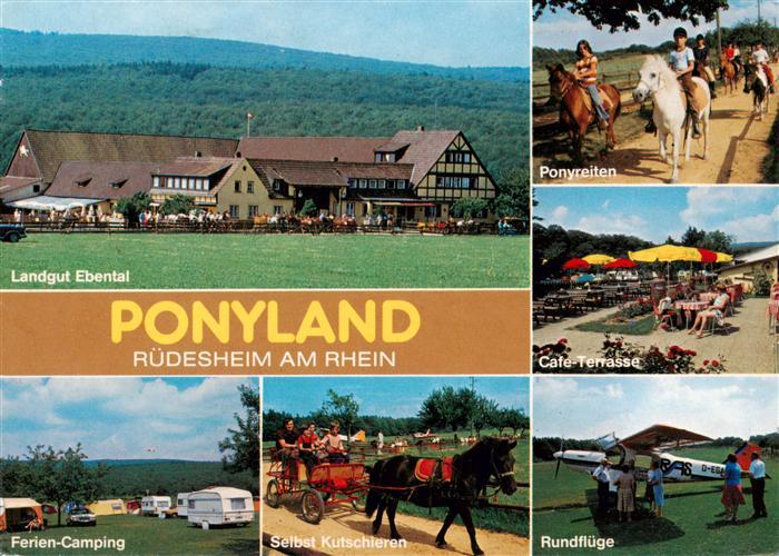 Ruedesheim am Rhein Landgut Ebental Ponyreiten Cafe Terrasse Ferien Camping Selb