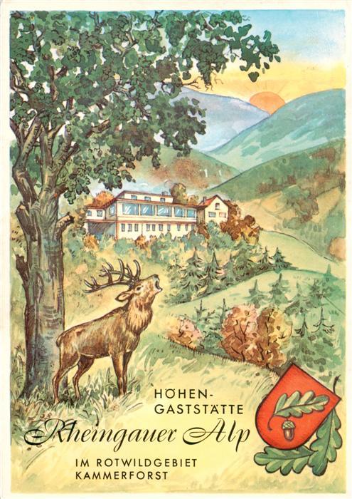 Presberg Rheingau Ruedesheim Hoehen Gaststaette Rheingaur Alp Illustration