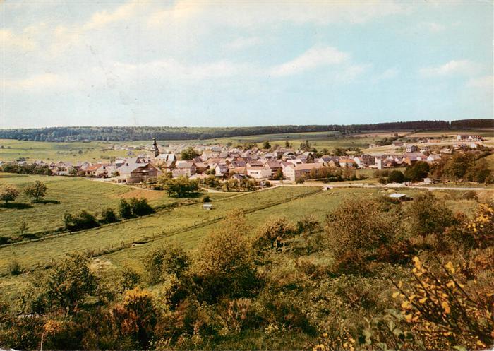 Heidenrod Fliegeraufnahme