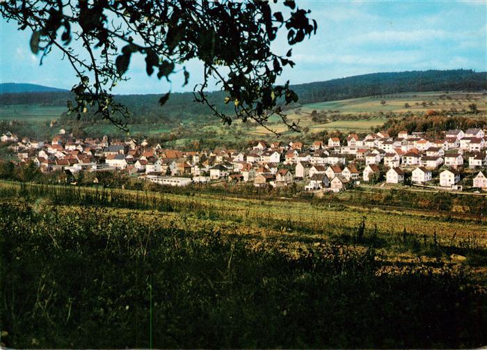 Niederjosbach Panorama mit Gasthaus zum Gruenen Tal