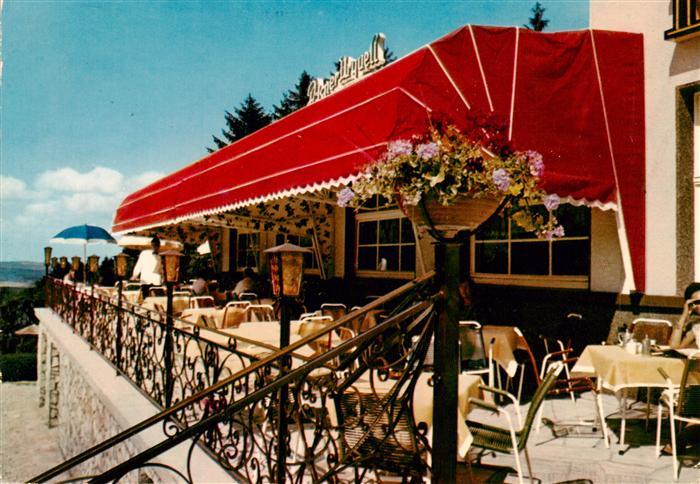 Glashuetten  Taunus Wald Hotel Terrasse