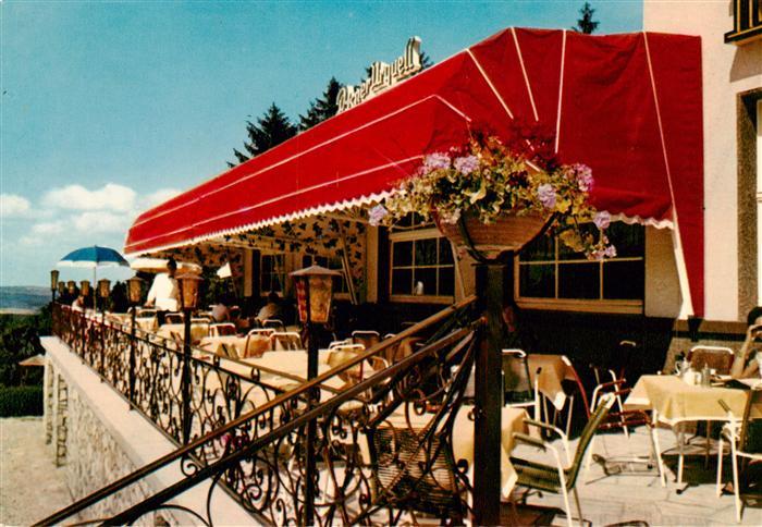 Glashuetten  Taunus Wald Hotel Terrasse