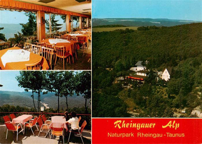 Presberg Rheingau Ruedesheim Gaststaette Rheingauer Alp Gaststube Terrasse