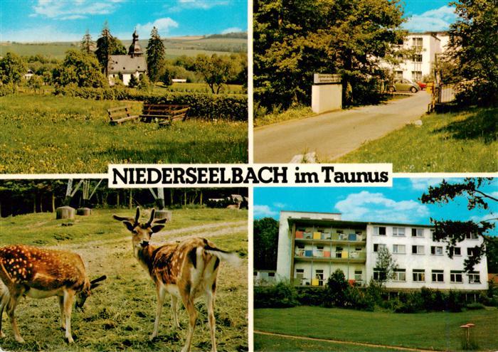 Niederseelbach Kapelle Wildpark Eingang Wohnhaus