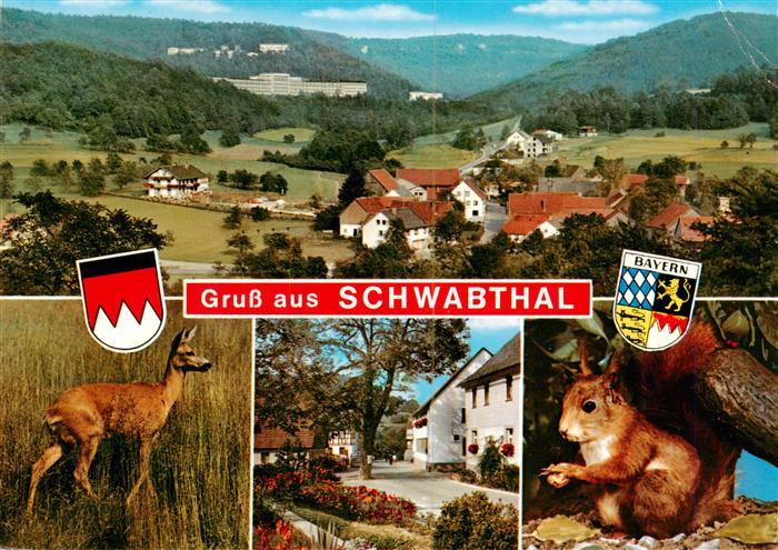 Schwabthal Panorama Reh Ortsmotiv Eichhoernchen