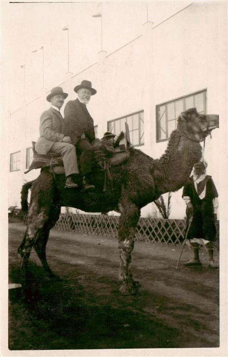 Kamel  Camel Chameau Maenner Reiten