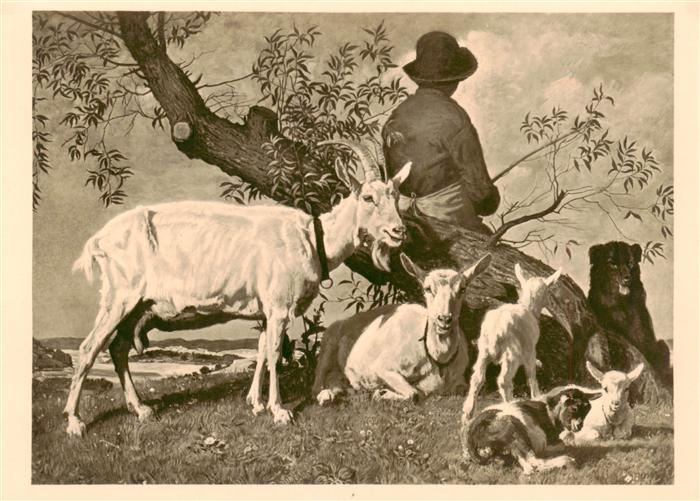 Haus der Deutschen Kunst Verlag HDK Nr. 510 Weideidyll Jul.P.Junghanns