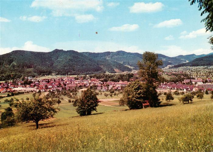 Zell Harmersbach Cafe Alt Zell Panorama