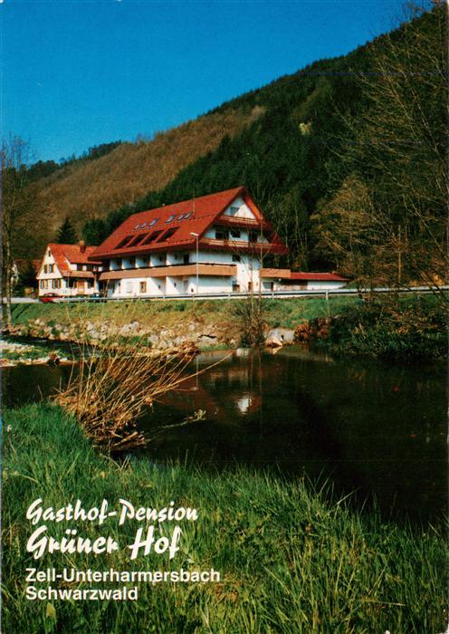 Unterharmersbach Gasthof Pension Gruener Hof