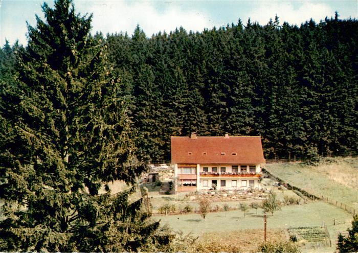 Fohlenplacken Waldcafé Pension Ruebezahl