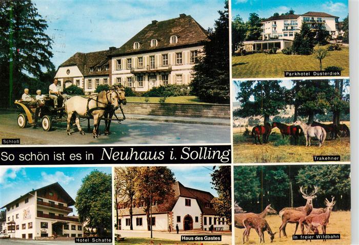 Neuhaus Solling Parkhotel Duesterdiek Schloss Trakehner Pferde Hotel Haus des Ga