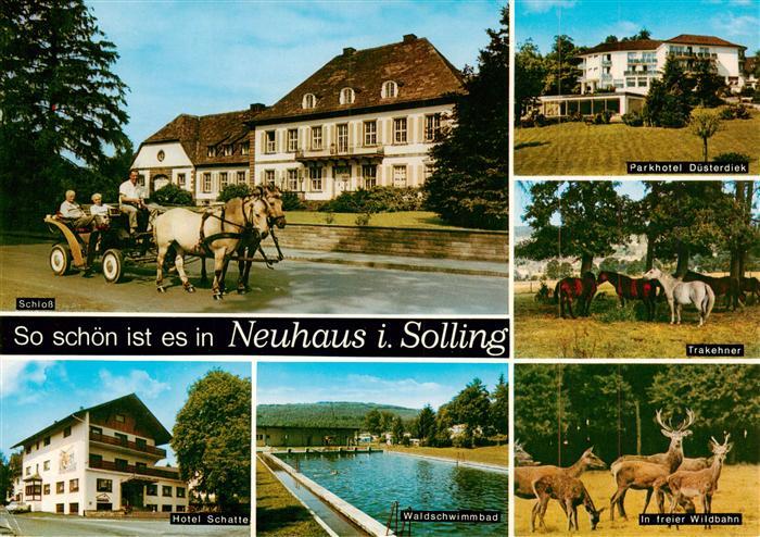 Neuhaus Solling Schloss Pferdekutsche Parkhotel Duesterdiek Trakehner Pferde Hot