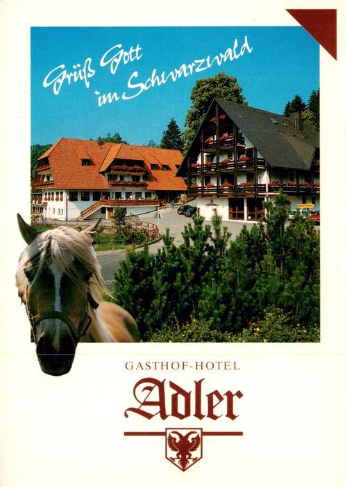 St Roman Wolfach Gasthof Hotel Adler im Schwarzwald Pferd