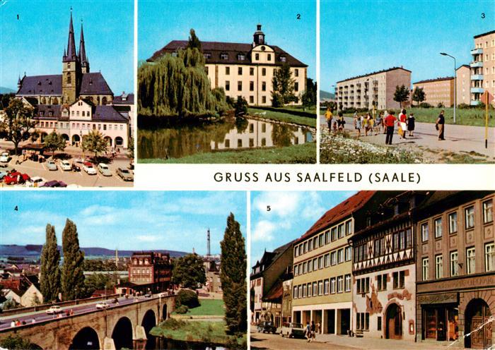 Saalfeld Saale Markt Schloss im Kulturpark OT Gerndorf Bruecke des Friedens Blan
