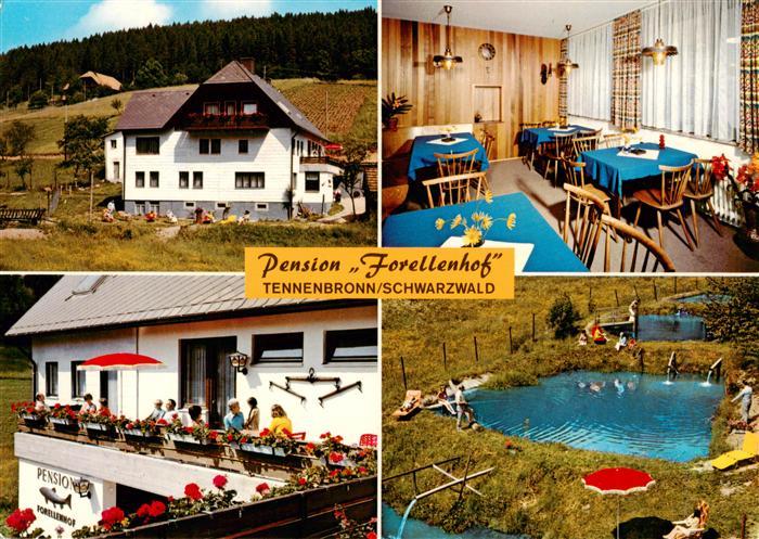 Tennenbronn Pension Forellenhof Gastraum Balkon Freibad