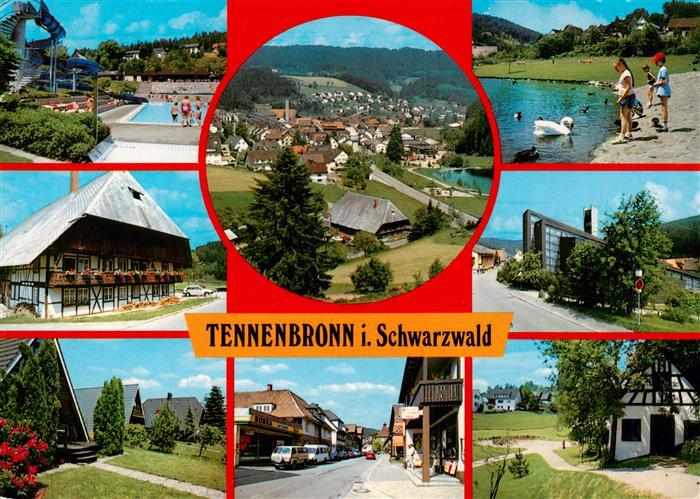 Tennenbronn Schwimmbad Schwanenteich Schwarzwaldhaus Ferienpark Ortspartie