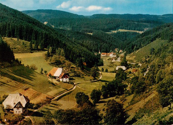 Triberg Nussbachtal Panorama