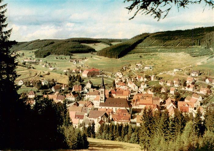 Voehrenbach Panorama