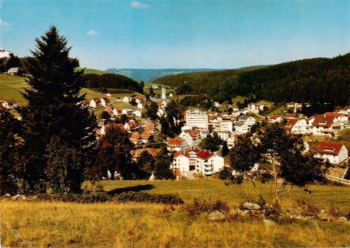 Guetenbach Schwarzwald Panorama