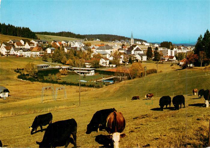 Schoenwald Schwarzwald Panorama