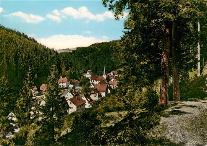 Nussbach Schwarzwald Ortsansicht