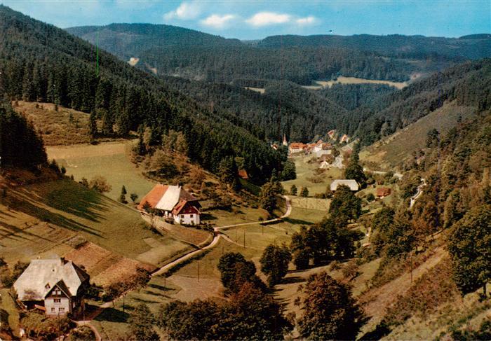 Triberg Blick ins Nussbachtal
