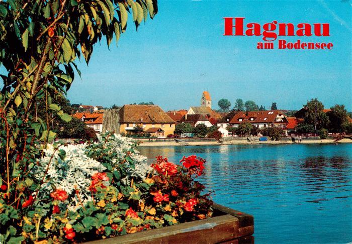 Hagnau Bodensee Seepartie