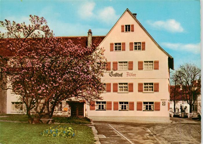 Immenstaad Bodensee Gasthof Adler