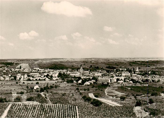Modra Slovakia Panorama
