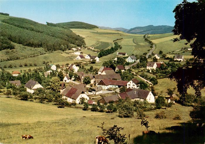 Dornholthausen Sundern Panorama