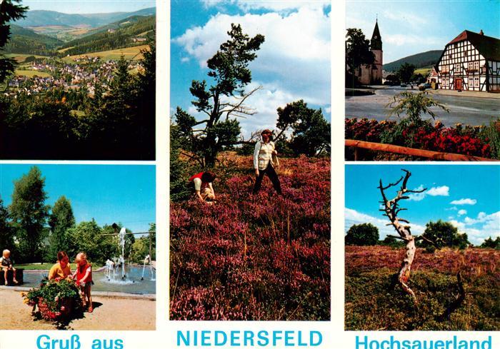 Niedersfeld Winterberg Panorama Heidelandschaft Fachwerkhaus Schwimmbad