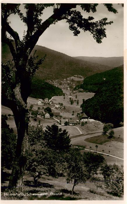 Herrenalb Bad Herrenalb Gaistal
