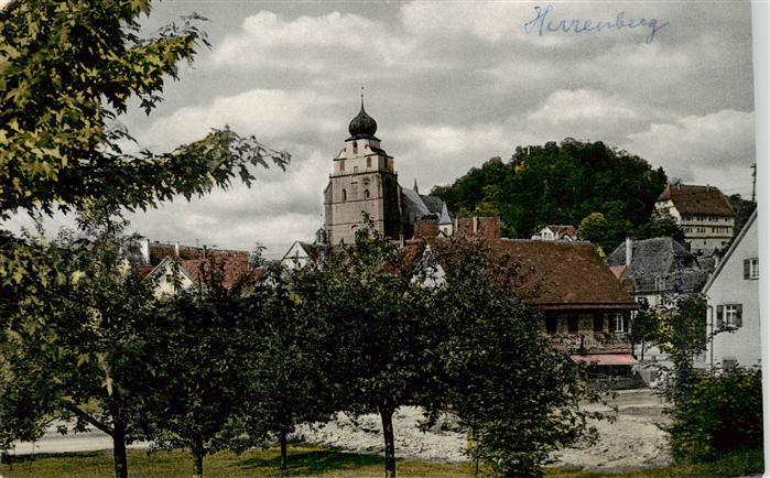 Herrenberg Gaeu BW Stiftskirche mit Schlossberg