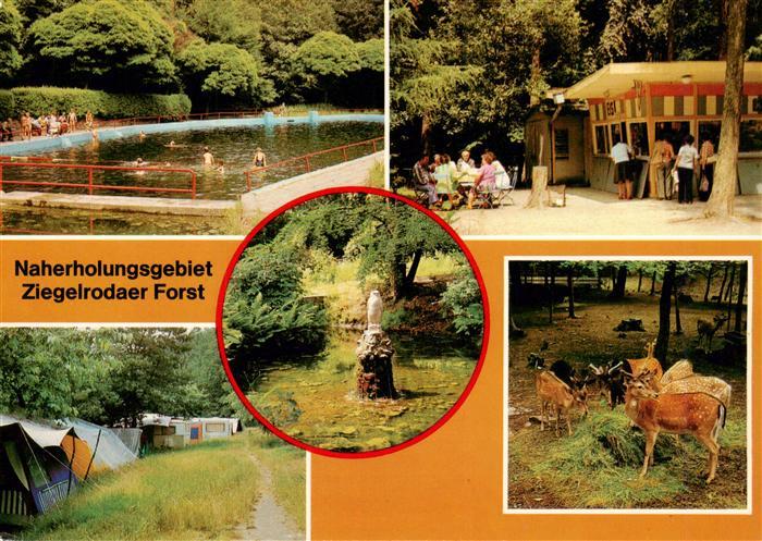 Ziegelroda Waldbad An der Jaegerhuette Campingplatz Heimat Tierpark Klapperborn