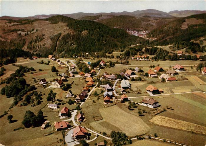 Haeusern Schwarzwald Fliegeraufnahme