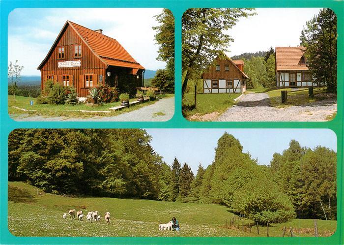 Mitwitz Bayern Schaefer Stub’n Ferienhaeuser zur Schaeferei Schafherde