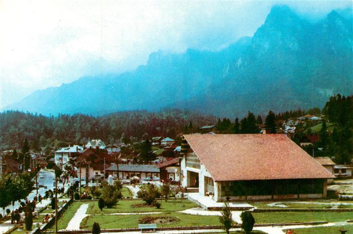 Busteni Sinaia RO Panorama