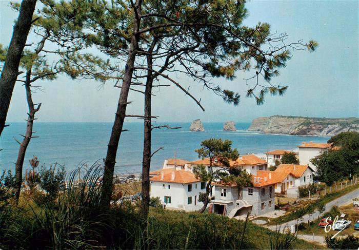 Hendaye 64 Les deux jumeaux à travers les pins