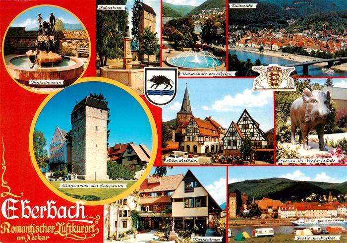 Eberbach Baden Neckar Brunnen Pulverturm Kurzentrum Wasserspiele Rathaus Plastik
