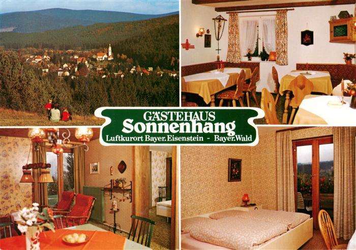 Bayerisch Eisenstein Gaestehaus Sonnenhang Fremdenzimmer Panorama