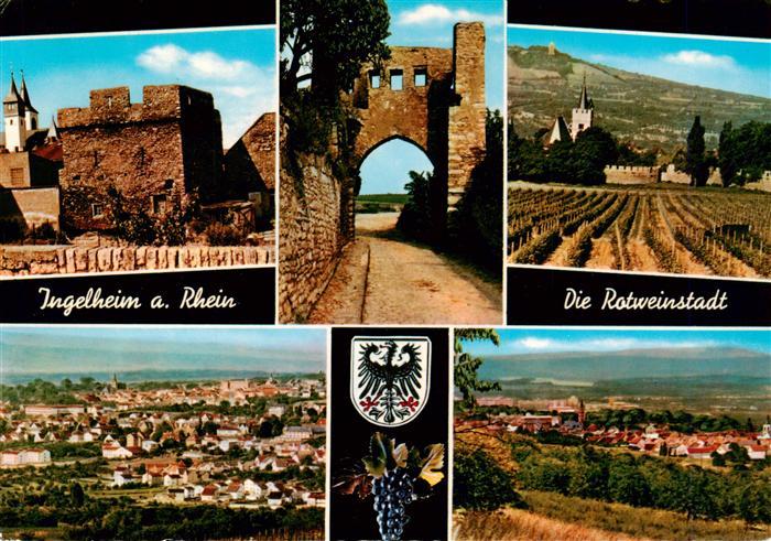 Ingelheim Rhein Panorama Rotweinstadt Burgruine Tor