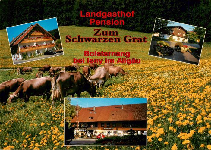 Bolsternang Landgasthof Pension Zum Schwarzen Grat Sommeridylle Viehweide
