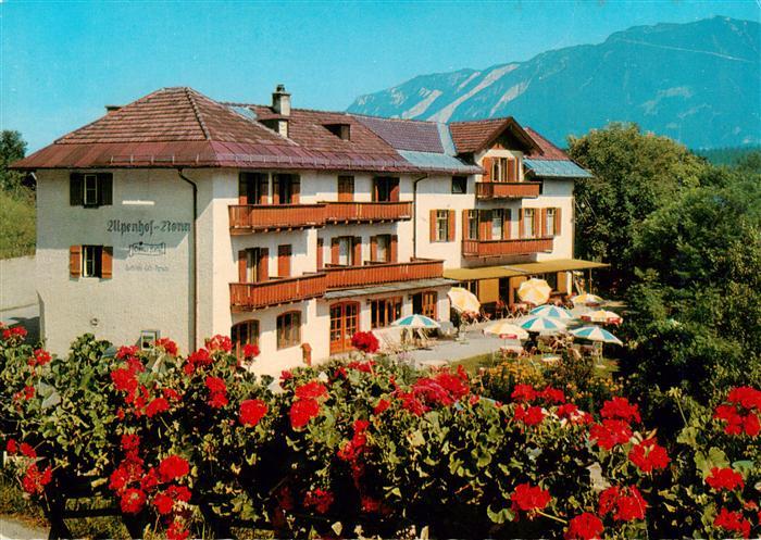 Bad Reichenhall Alpenhof Graue Katz